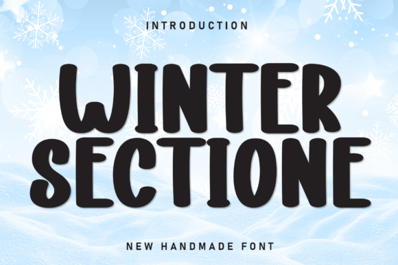 Winter Sectione Font for Business Branding